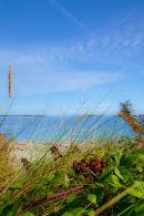 Watermill Cove