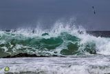 Wave Break - Summer Highlands