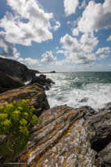 West Pentire Rocks Portrait