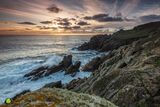 Western Rock & Lichen III
