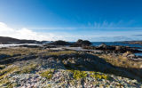 Winter Beach Mull