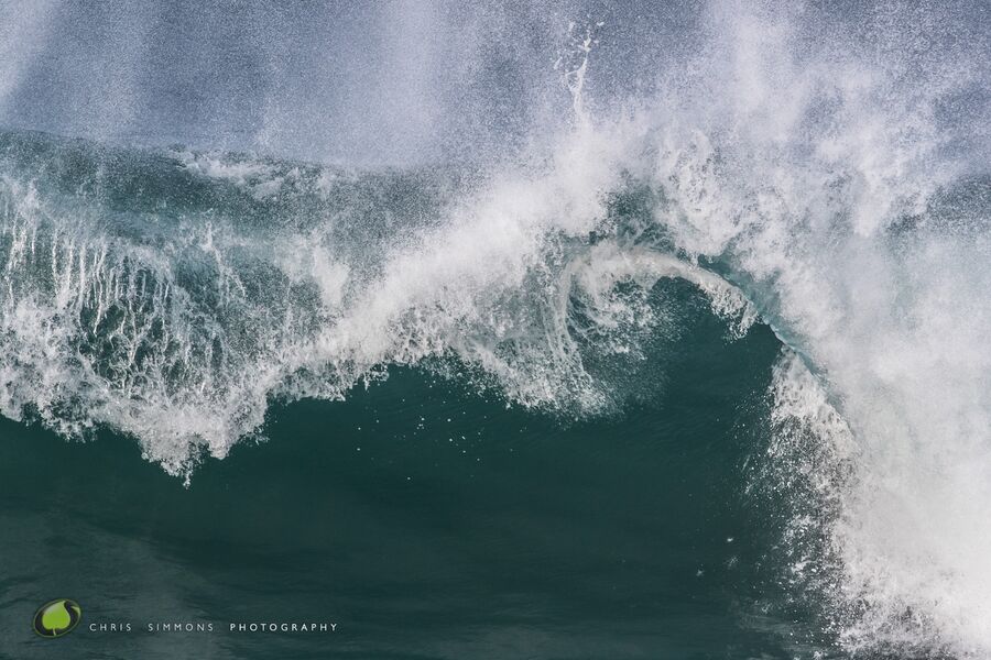 Winter Break VI
