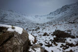 Winter Glen