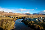 Winter Highland Glen II
