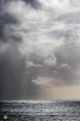 Winter Rays II