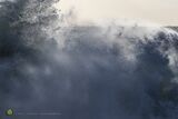 Winter Rays IV