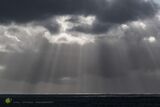 Winter Rays