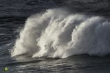 Winter Break Porth VII
