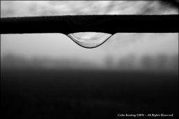 Dew drop hanging on a wire fence