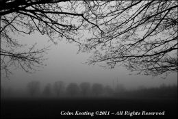 GAA Pitch in Fog - Islandbridge.