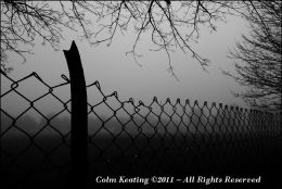 Perimiter Fence in Fog - Islandbridge