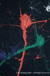 Dancers on the tarmac