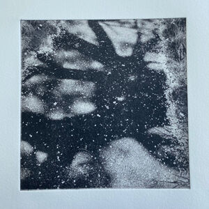 Cherry blossom on shadows