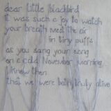 Dear Little Blackbird