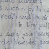 Dear Little Blackbird (Detail)