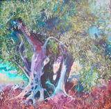 Olive Tree at Velhos Amigos