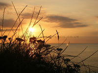 'Hartland Quay at Sunset'