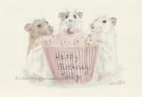 Happy Birthday Tilly