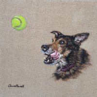 Dino in wool & acrylic