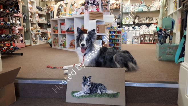 Tucker in Wool & Acrylic paint
