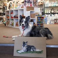 Tucker in Wool & Acrylic paint