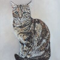Tabitha