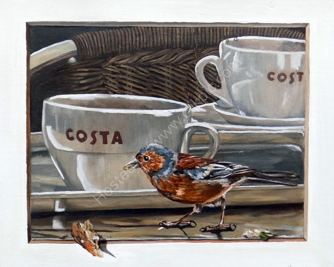 Costa Chaffinch