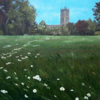 Daisy Field