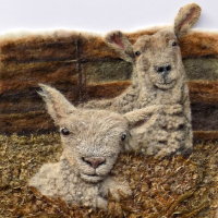 Lamb in sheeps clothing