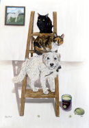 Top Cat
