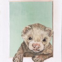 Basil the Ferret