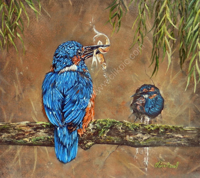 Kingfisher