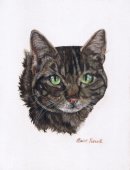 Millie in oil pastels