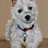 West Highland Terrier