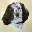 Scoops in Oil Pastels