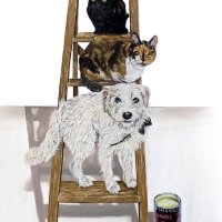 Top Cat
