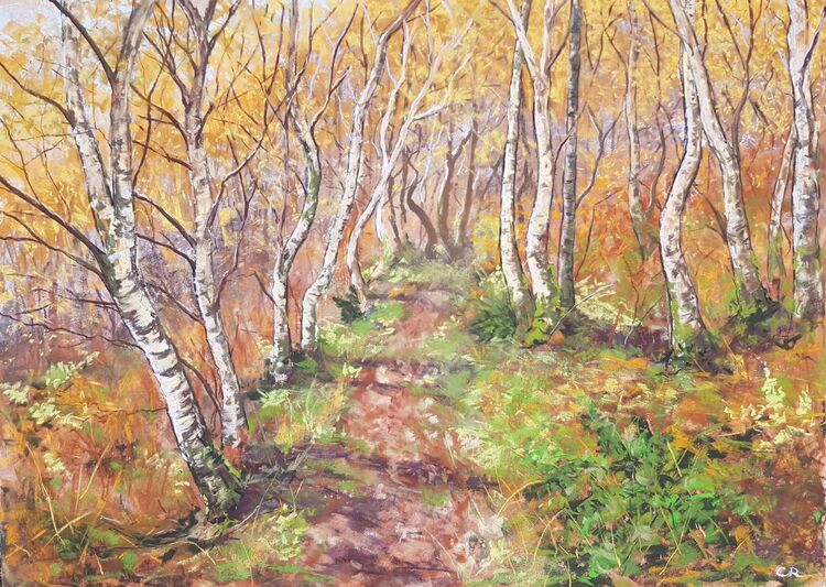 Silver Birch