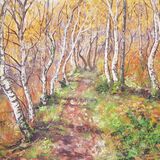 Silver Birch