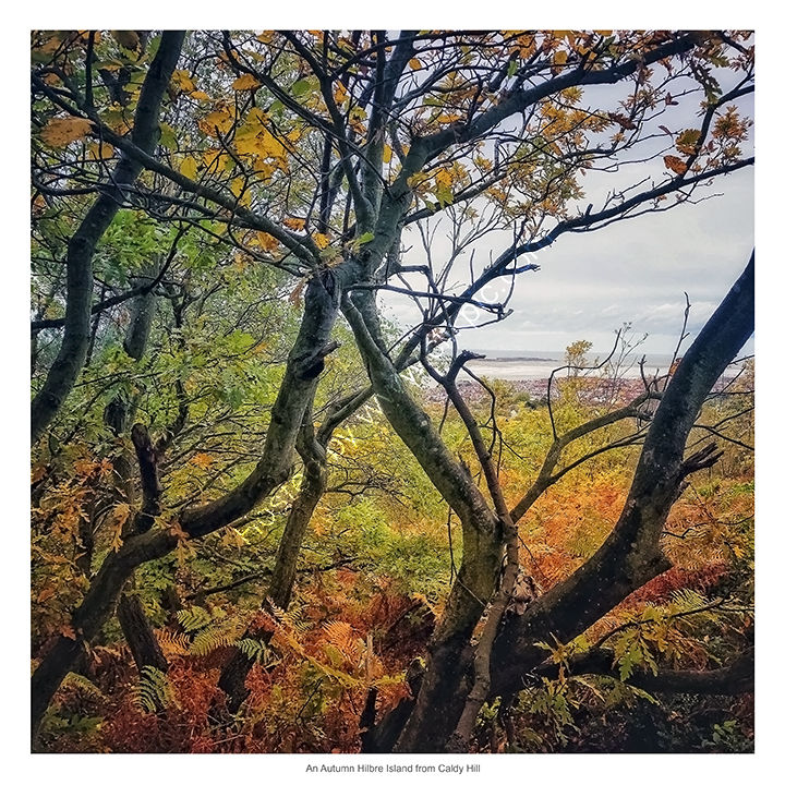 An Autumn Hilbre Island from Caldy Hill, Wirral