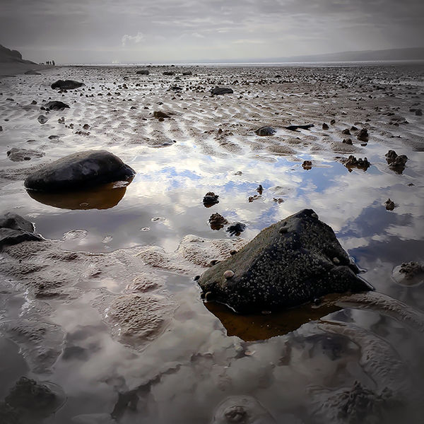 The Morning Walk, Cubbins Green Beach, Wirral