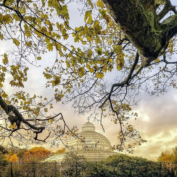 On An Autumn Day - Sefton Park Palm House, Liverpool