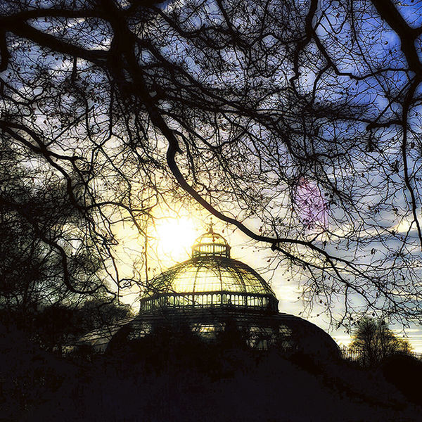 Sefton Park Palm House - Liverpool
