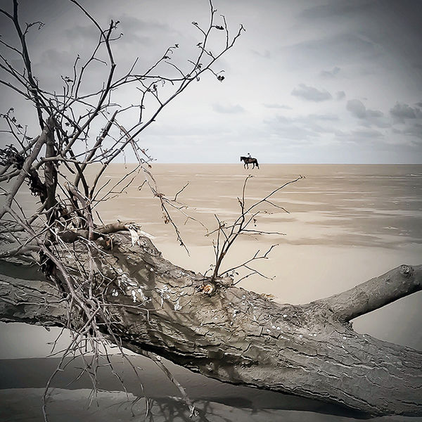 Hacking Out on Hoylake Beach, Wirral