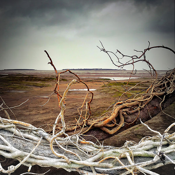 Adrift Again - Hilbre Island