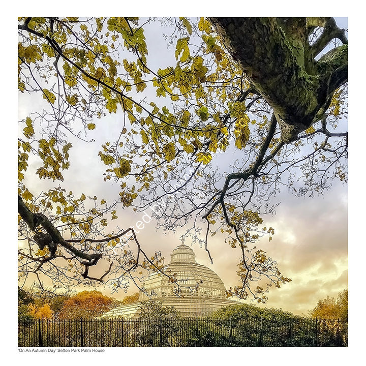 On An Autumn Day - Sefton Park Palm House, Liverpool