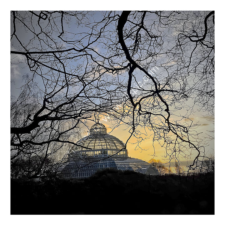 Sefton Park Palm House - Liverpool