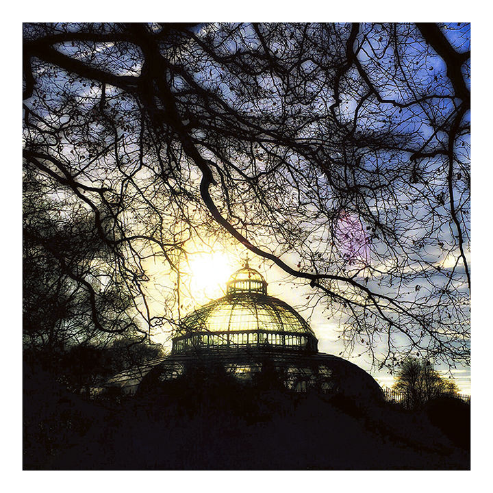 Sefton Park Palm House - Liverpool