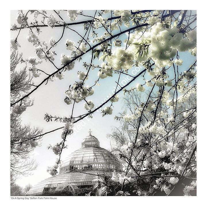 Sefton Park Palm House - Liverpool