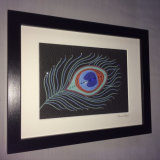 Peacock feather