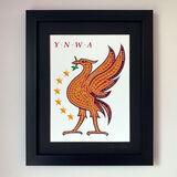 Strong bird YNWA 6*